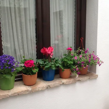 Vendégház Boutique Alma Andalusí