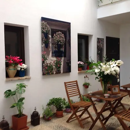 Hotel Boutique Alma Andalusi * Cordoba