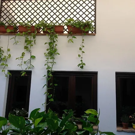 Guest house Hotel Boutique Alma Andalusi Cordoba