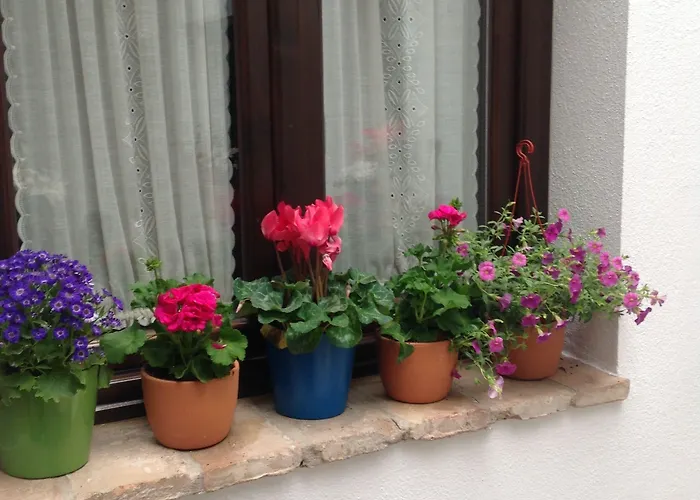 Pensionat Boutique Alma Andalusi