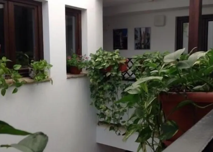 Boutique Alma Andalusí Vendégház Córdoba